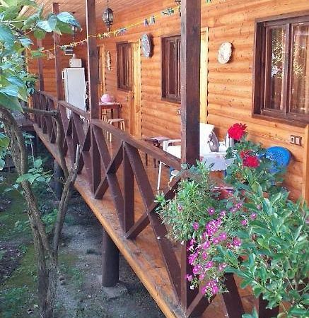 Guest House Nana ガグラ エクステリア 写真